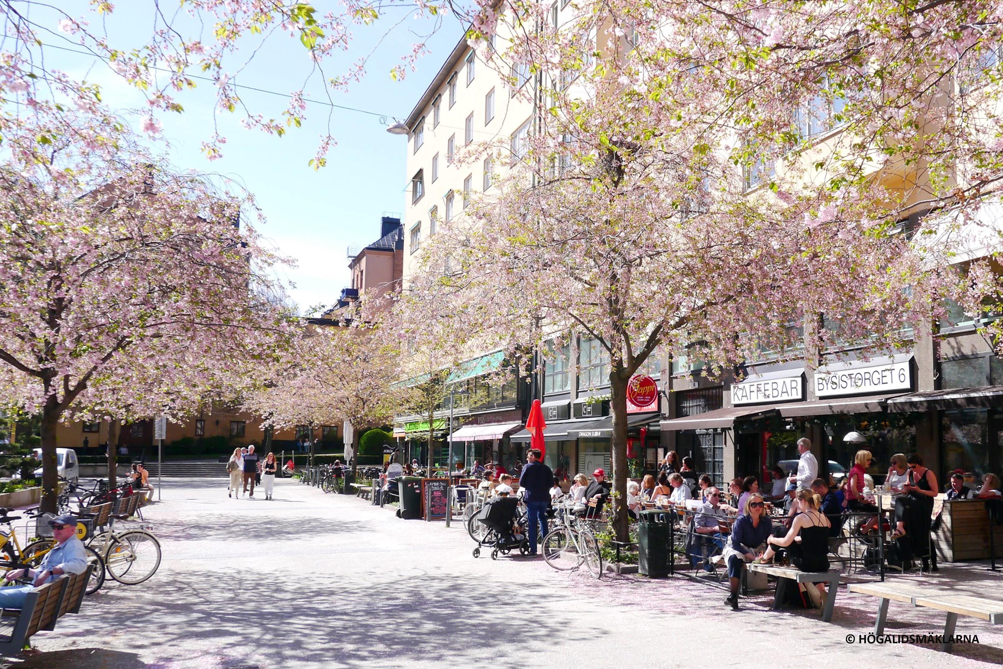 Bysistorget Hogalidsmaklarna